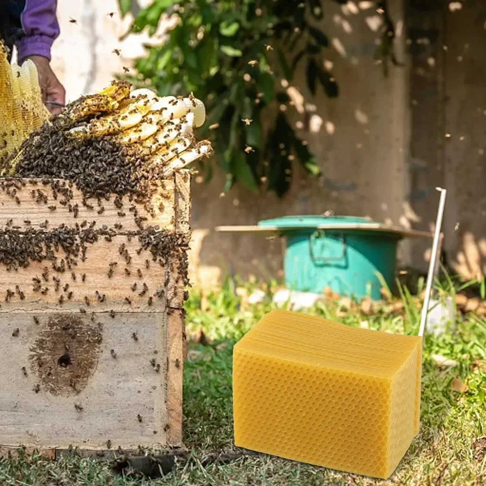 Suministros de colmena, base d - Candle Supplies Beeswax reseña y precio